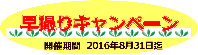 早撮りキャンペーン